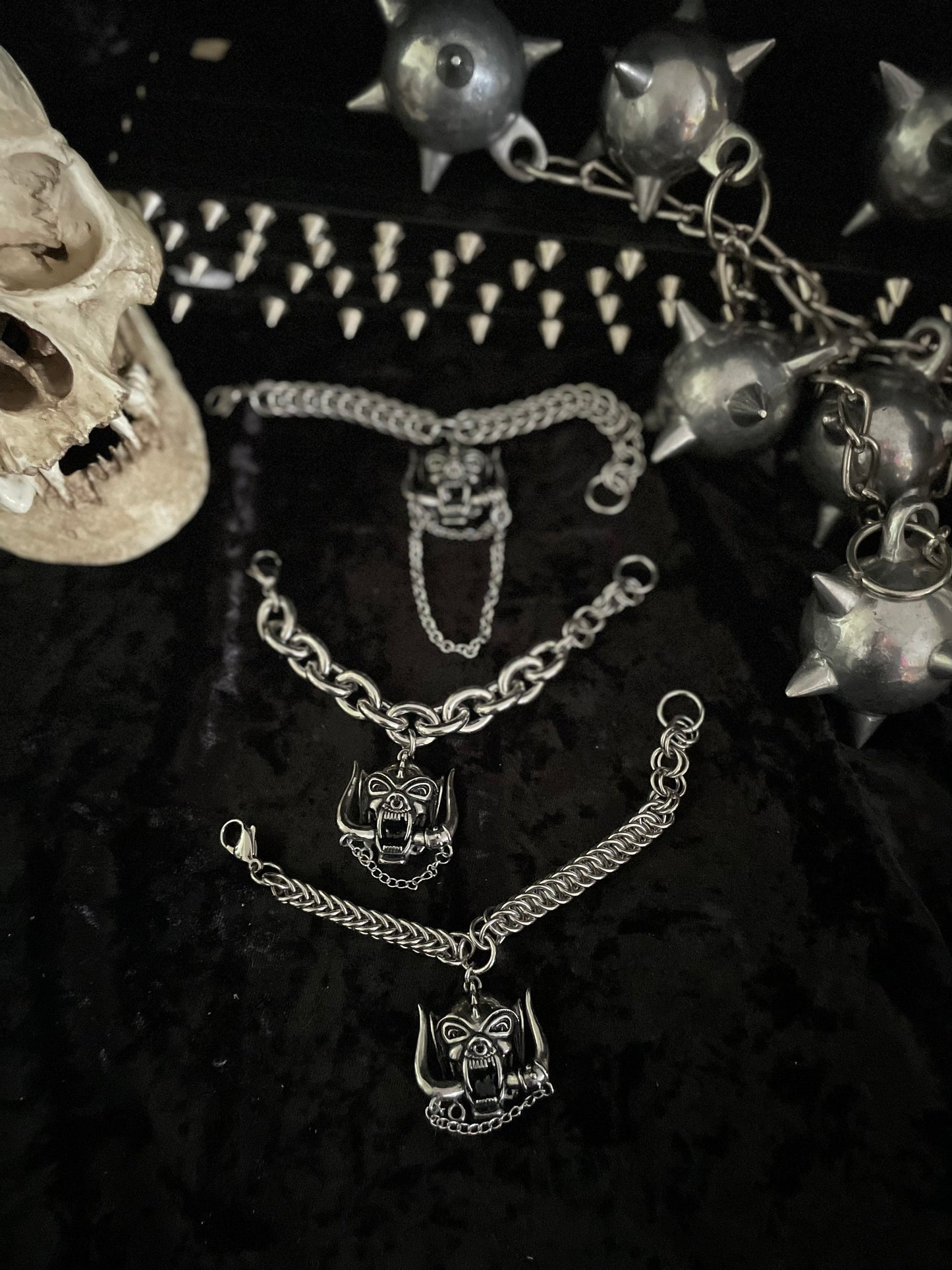 Stainless snaggletooth bracelet